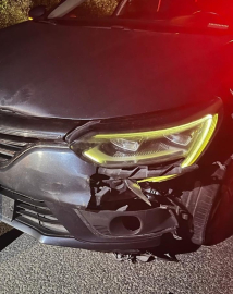 İnegöl’de otomobilin çarptığı ayı telef oldu