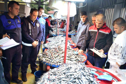 Yenişehir’de balık pazarı’na sıkı denetim