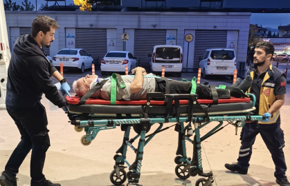 Ceviz ağacından düşen adam ağır yaralandı