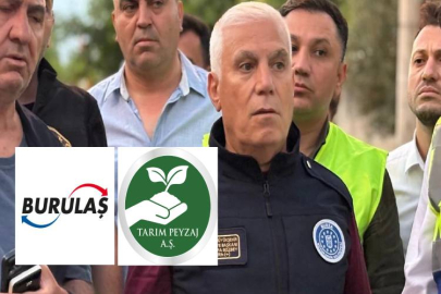 Bir Tebessüme Tahammül Yok mu, Bozbey?