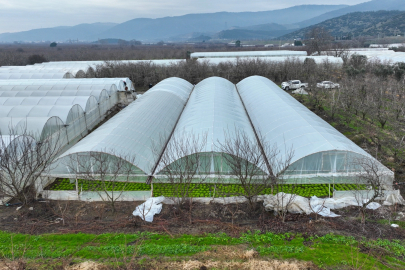 Bursa'da lodoszede seralara Büyükşehir desteği