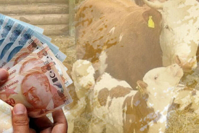 Çiftçilere 10,7 milyar TL tarımsal destek ödemesi yapılacak