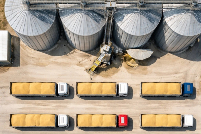 TMO’dan buğday satışı... 1,2 milyon ton stok günlük açık artırmada